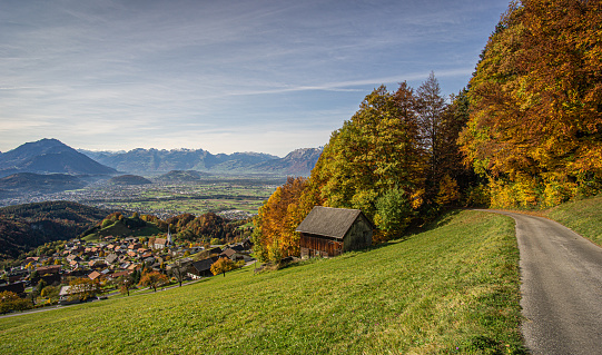 beautiful fall colors near Feldkirch, Austria.