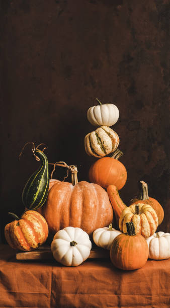 Colorful pumpkins of different shapes and size in pyramid composition