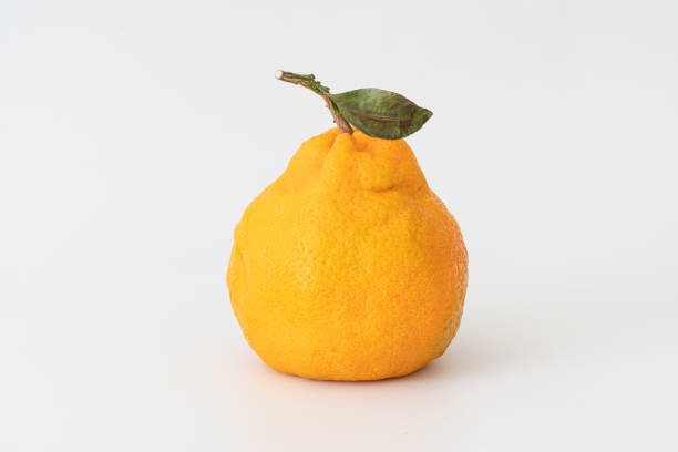 Tangerines on white background with clipping path.