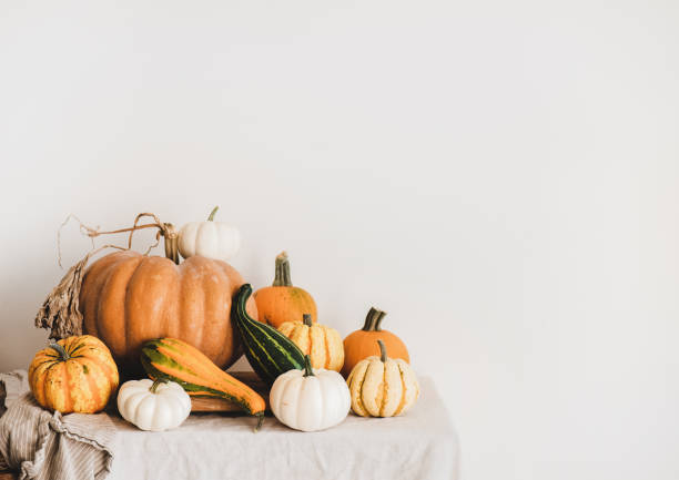 istock Colorful pumpkins of different shapes and sizes on light tablecloth 1282301816