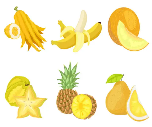 Vector illustration of Citron and Banana, Melon and Carambola Fruits Set