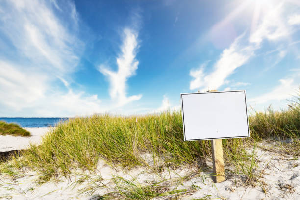 istock signpost with copy space on wide sandy beach 1282303126