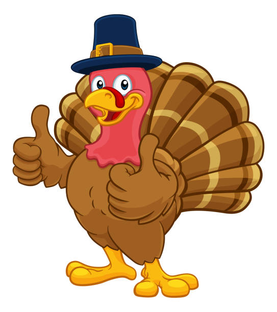 turcja pilgrim hat dziękczynienia charakter kreskówki - turkey white background bird thanksgiving stock illustrations
