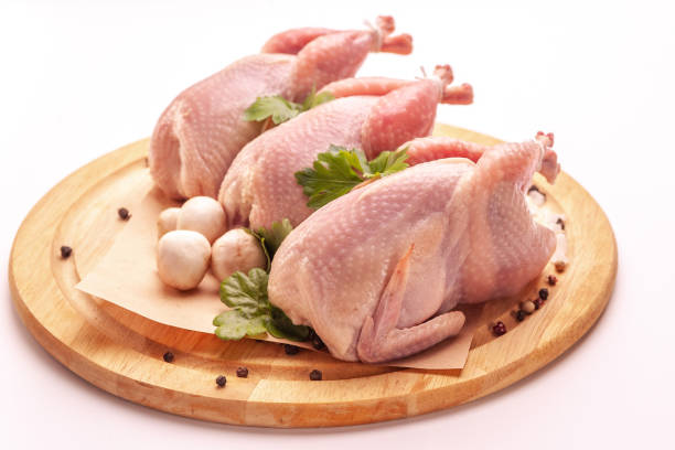 istock Raw plucked quail isolated on white background. Ecological poultry for cooking. 1282310884