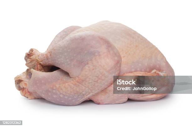 Raw Fresh Turkey Stock Photo - Download Image Now - Chicken Meat, Raw Food, Chicken - Bird