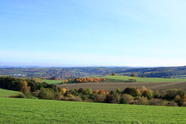 istock Meadow with grass and big autumn trees against blue sky 1282316106