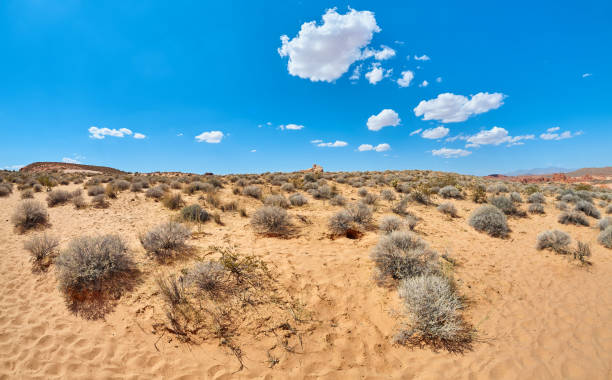 istock Panoramic view of a desert, Nevada, US. 1282318436