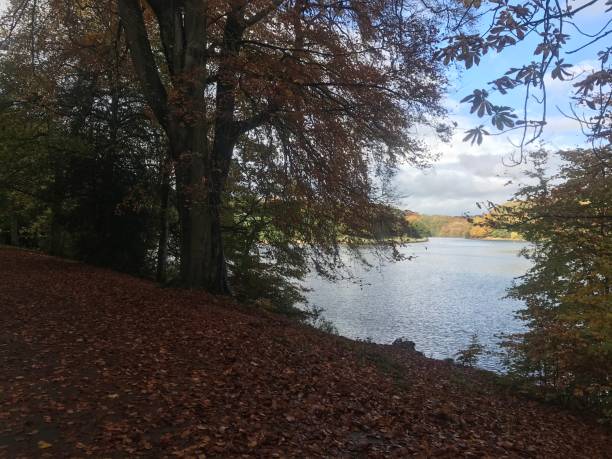 istock Autumnal scene in the countryside 1282320223