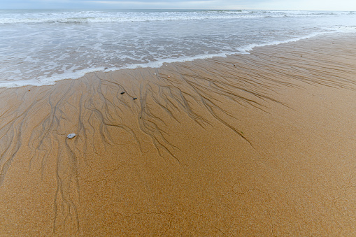 Sandy beach on the Atlantic coast in France. Gold seabed texture.