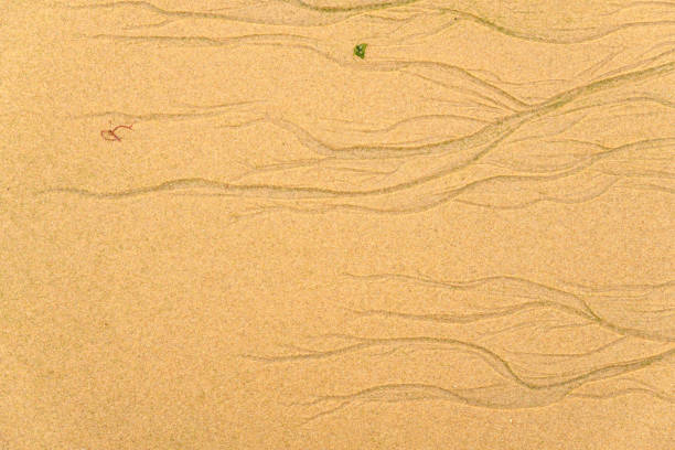 Texture of sand on a beach in the Atlantic Ocean in France.
