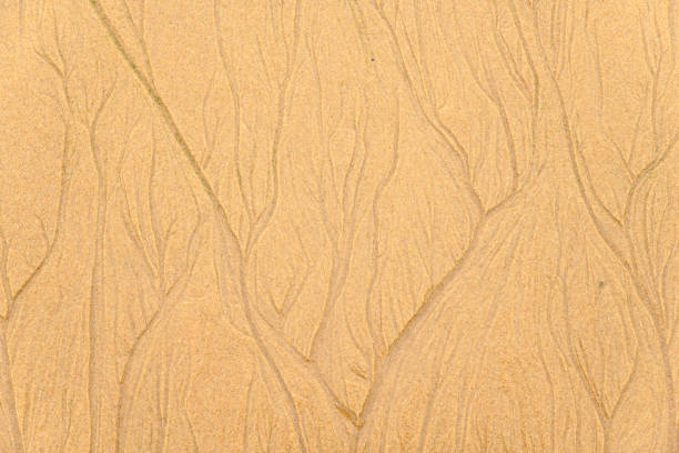 Texture of sand on a beach in the Atlantic Ocean in France.