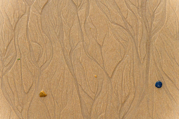 Beach sand after rain storm. Shot in Gulf Shores, Alabama with a Canon EOS Mark V camera.