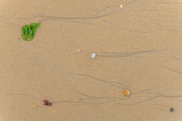 Pebbled on a beach at the Atlantic ocean in France.