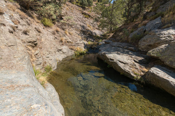 istock Water flowing down a ravine in Sierra Nevada 1282321991