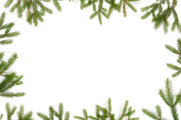 istock Frame made of fir branches on a white background. 1282322690