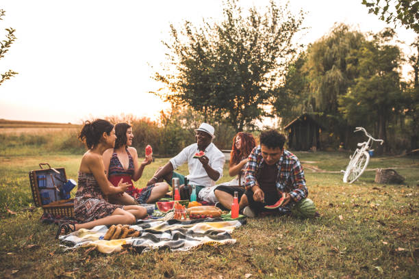Lively friends enjoying a picnic in a non-urban area Wide shot of non-urban area where a group of lively friends sit on the grass to make a picnic and enjoy fresh and healthy food. wide shot stock pictures, royalty-free photos & images