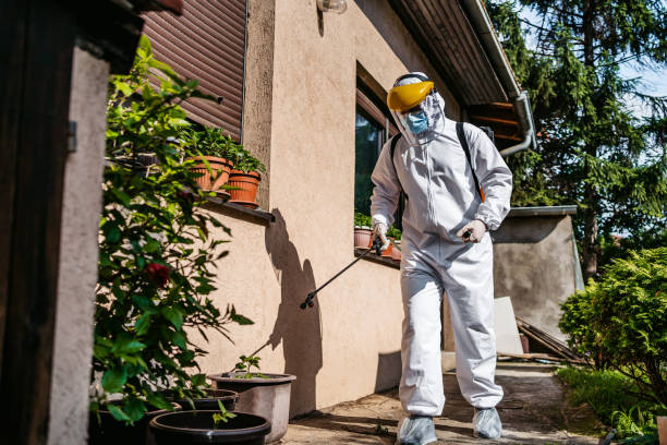 Back yard disinfection for viruses Male person in white chemical protection suit doing disinfection of back yard to stop spreading highly contagious corona virus. Stop coronavirus or COVID-19. insecticide photos stock pictures, royalty-free photos & images