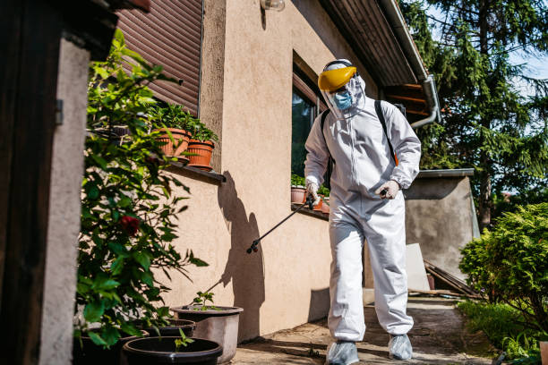 Back yard disinfection for viruses Male person in white chemical protection suit doing disinfection of back yard to stop spreading highly contagious corona virus. Stop coronavirus or COVID-19. crop sprayer stock pictures, royalty-free photos & images