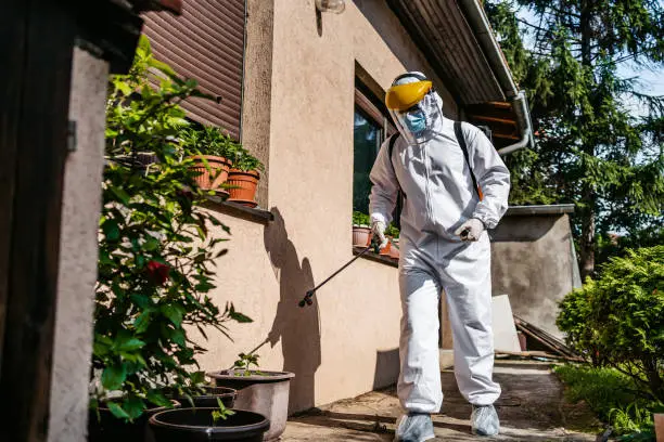 Male person in white chemical protection suit doing disinfection of back yard to stop spreading highly contagious corona virus. Stop coronavirus or COVID-19.