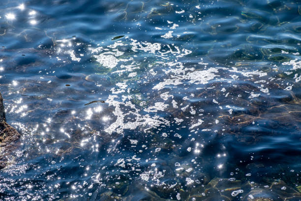 concepto de contaminación marina. espuma en la superficie del agua soleada, aceite, petróleo, productos químicos. - pollution oil oil slick water pollution fotografías e imágenes de stock