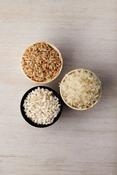 riz, variétés de riz, variété de types de riz dans différents bols, - carbohydrate ingredient food state choice photos et images de collection