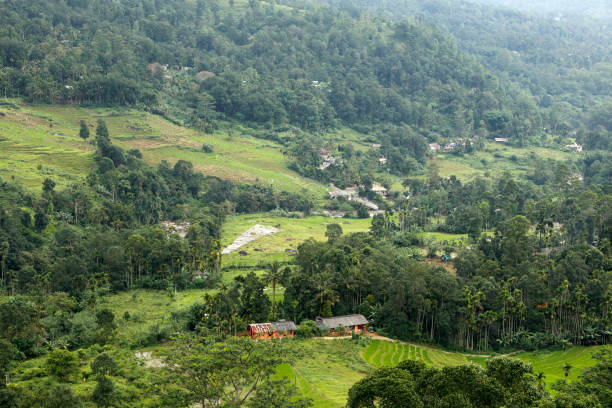istock Scenery around Nuwara Eliya in Sri Lanka 1282330849