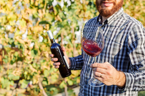 Portrait of handsome wine maker holding in his hand bottle and a glass of red wine and tasting it, checking wine quality while standing in vineyards. Small business, Homemade wine making concept.