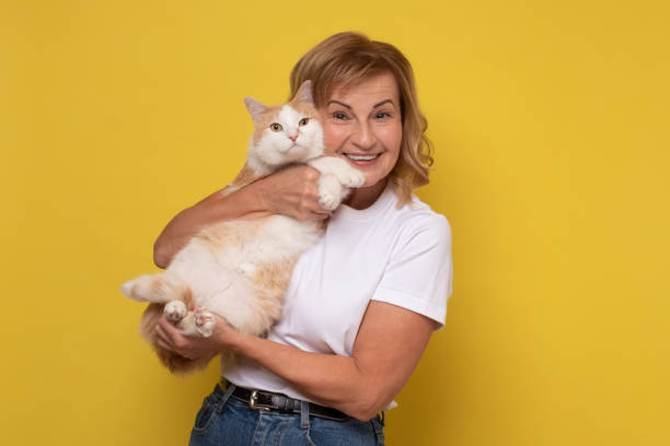 istock Caucasian woman lovingly hugging cat on yellow wall. 1282334074
