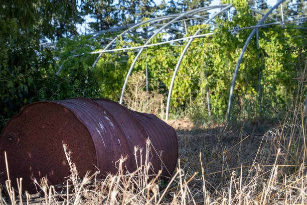 istock Dump with plastic garbage in the fields, nature pollution with plastic trash from agriculture 1282335818