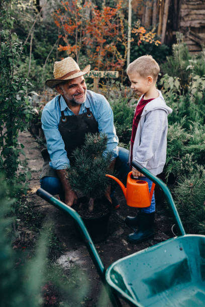 istock grandfather with his grandson in tree nursery 1282338965