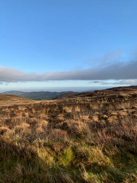istock Hills in Ireland 1282340961