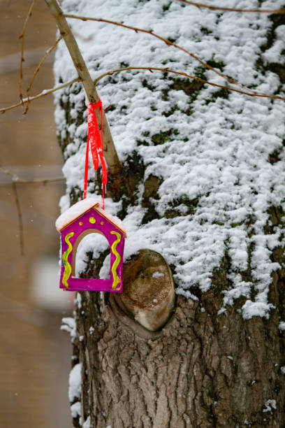 istock Handmade bird feeder hanging on a birch tree on a winter day. Preparing for winter. 1282343325