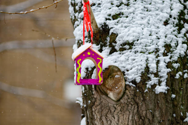 istock Handmade bird feeder hanging on a birch tree on a winter day. Preparing for winter. 1282343328