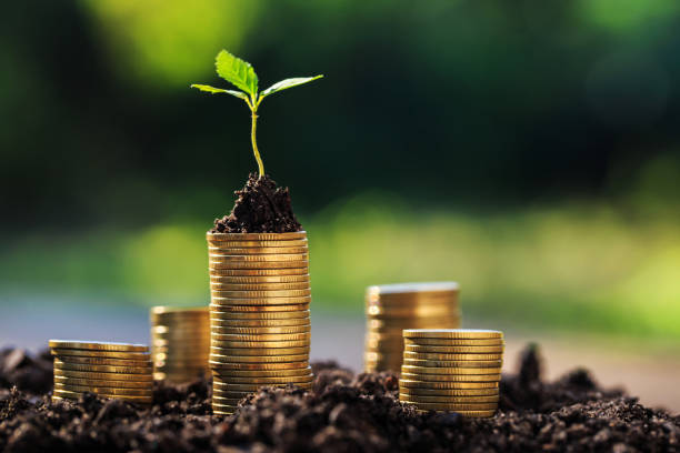 istock Investment ideas for success 1282343859