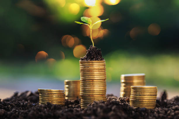 istock Investment ideas for success 1282343872