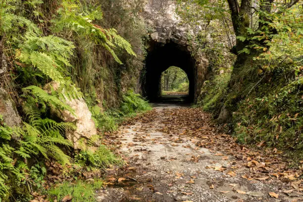 Photo of Tunnel in the Bear trekking way in autumn. Teverga, Asturias, Spain.