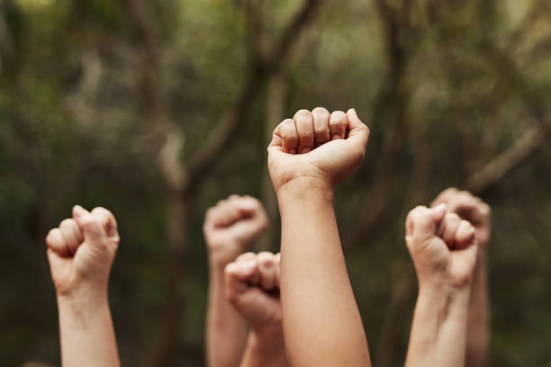 Nothing unites us like a common goal Cropped shot of a group of unrecognisable people raising their hands in solidarity out in nature racial equality photos stock pictures, royalty-free photos & images