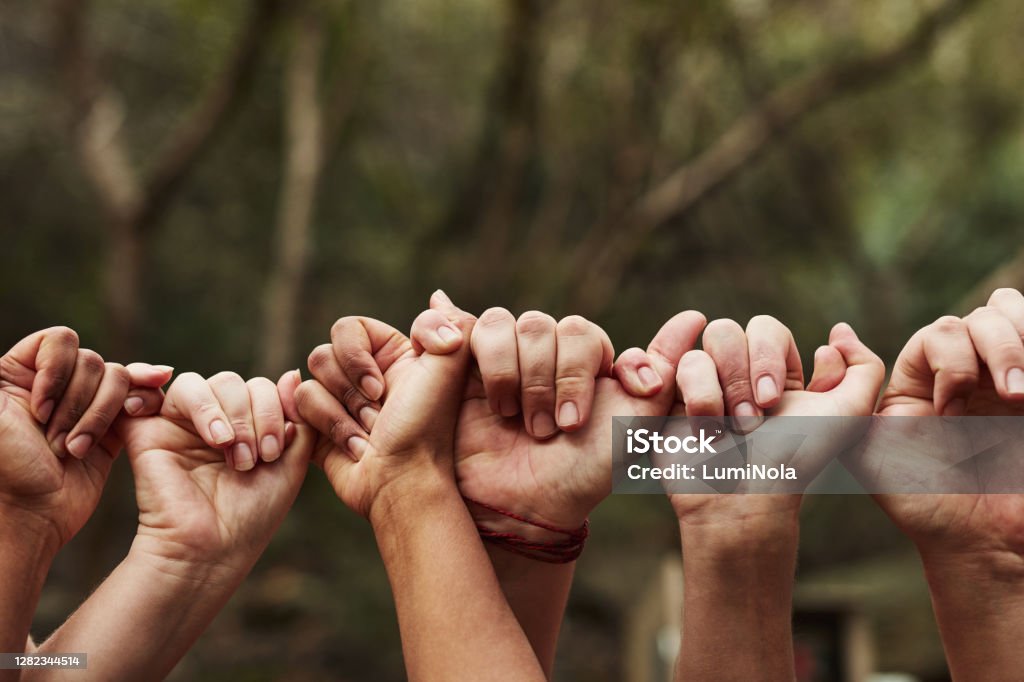 We’re all linked in this life Cropped shot of a group of unrecognisable people linking fingers out in nature Support Stock Photo