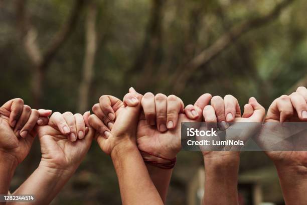 Were All Linked In This Life Stock Photo - Download Image Now - Support, A Helping Hand, Assistance