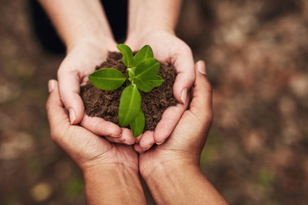istock The greener the world the cleaner the world 1282344521