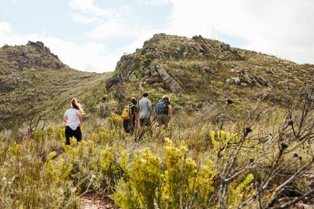 istock Trek your way to an awesome summer holiday 1282344547