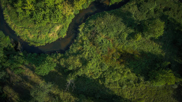 istock Low flyover over a small wild river on a summer day, river Grabia, Poland. 1282346083