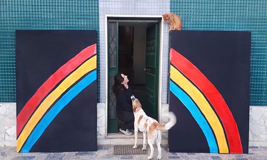 A woman is seated at the door with two canvas panels painted with a rainbow on either side. A dog and a cat are watching her.