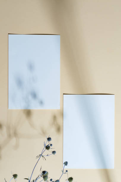 istock Mockup paper card with shadow on a beige background. 1282346284