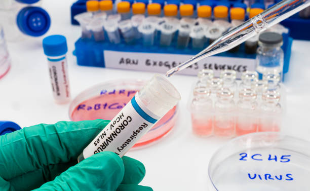 istock Virologist working on exogenous Sars-CoV-2 virus RNA sequence in the laboratory, conceptual image 1282346562