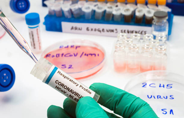 istock Virologist working on exogenous Sars-CoV-2 virus RNA sequence in the laboratory, conceptual image 1282347722
