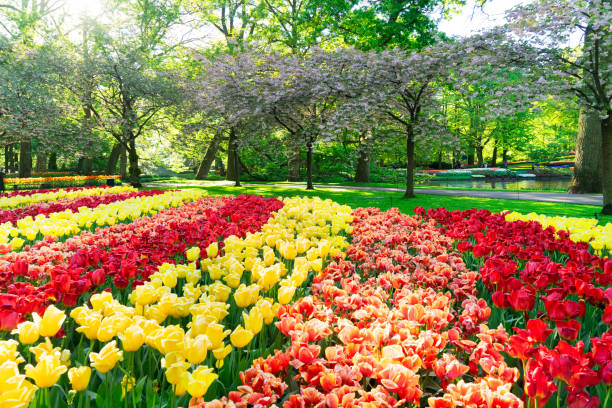 istock fresh lawn with flowers 1282347830