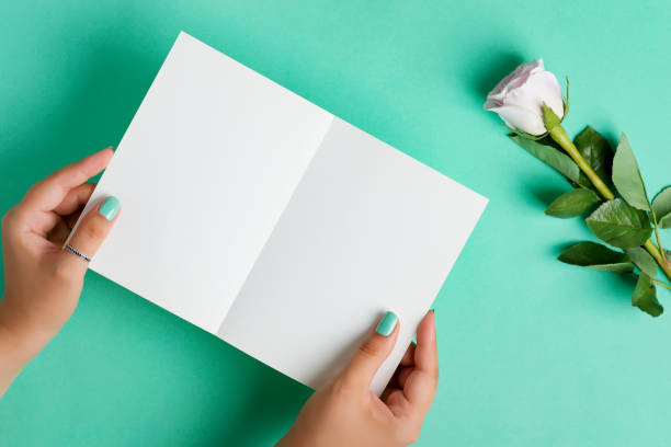 istock White mockup paper brochure in a woman's hand with rose 1282348571