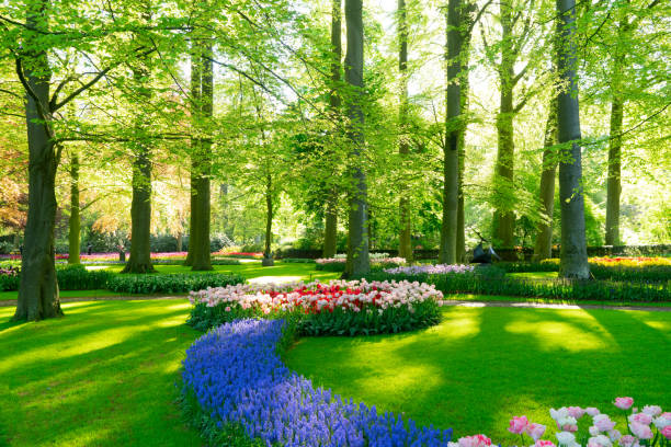 istock fresh lawn with flowers 1282349330