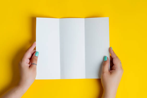 istock Trifold mock-up template paper brochure in woman's hands. 1282349657